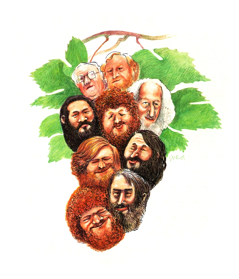 Vines 'Vine' print - Image 1