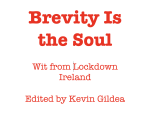 Brevity Is the Soul - Image 5
